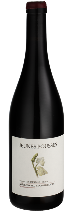 Domaine des Jeunes Pousses, Chénas Les Brureaux 2025